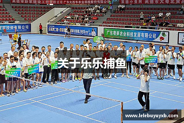 关于乐乐捕鱼
